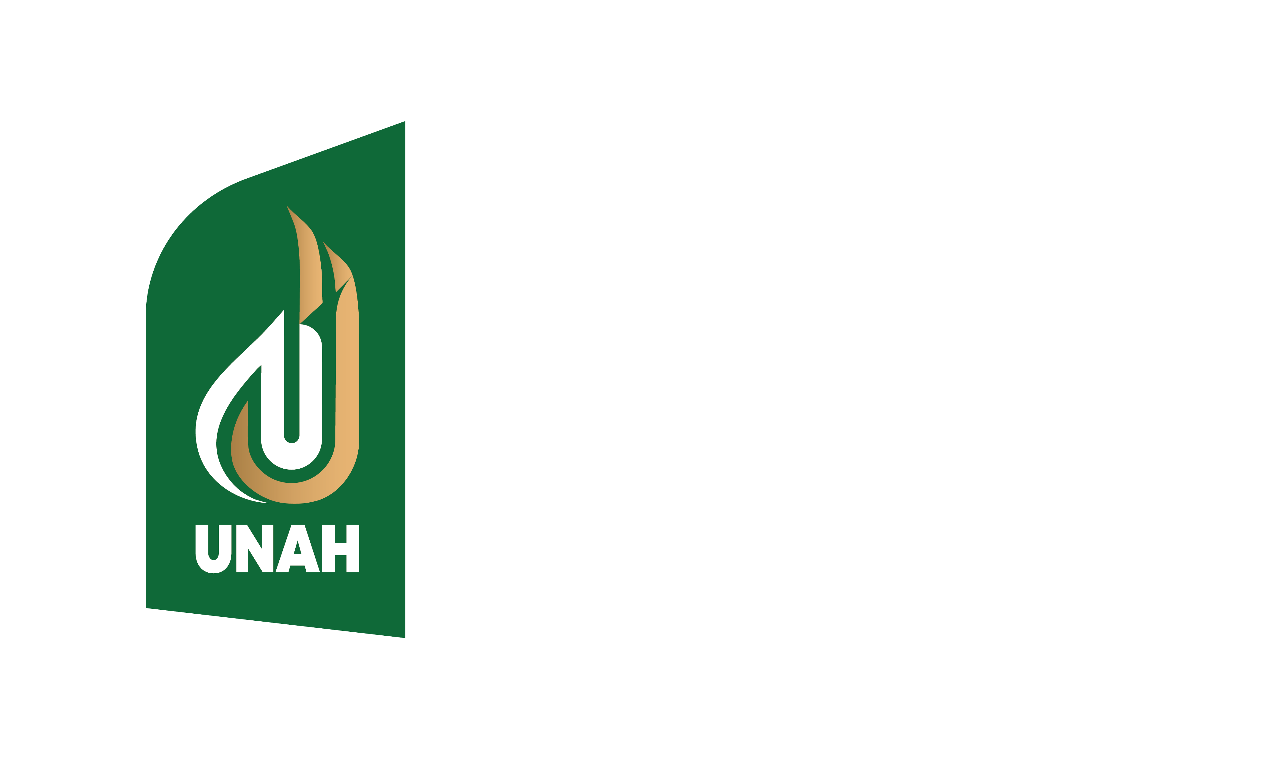 Logo Officiel DRUNAH